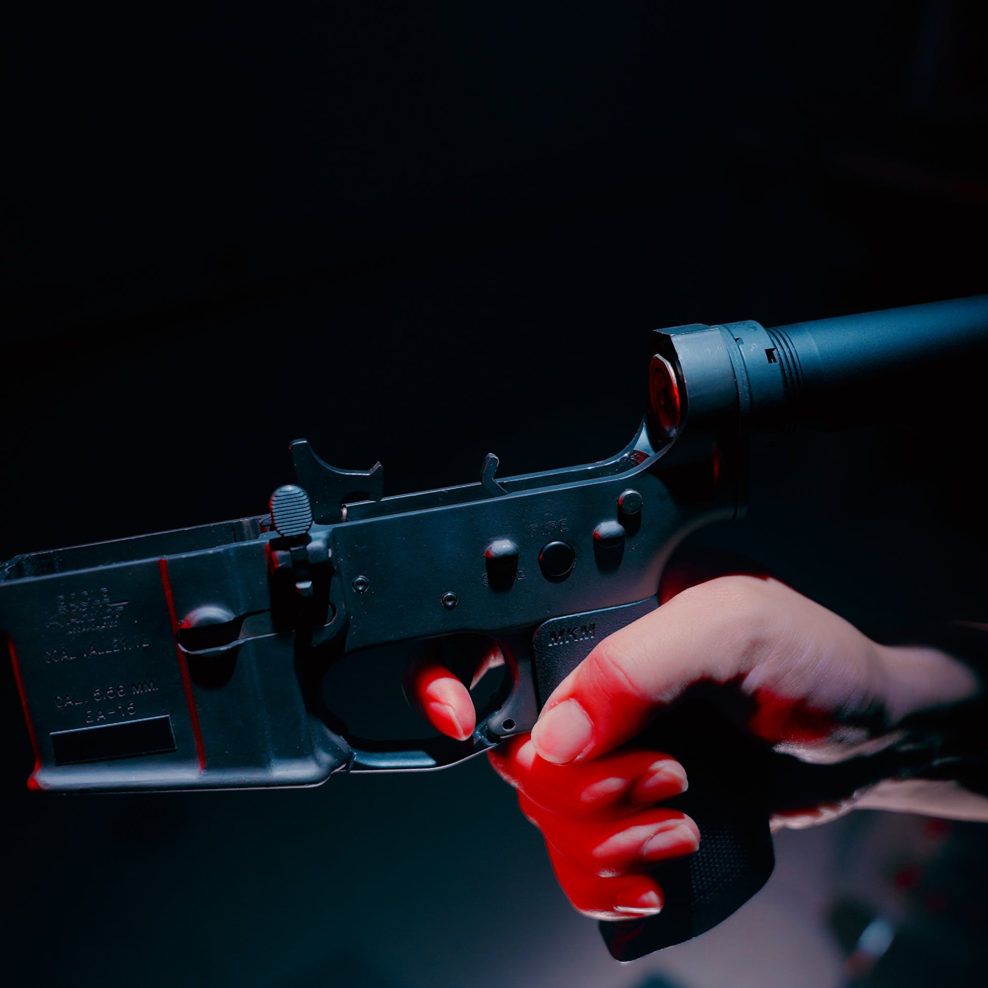 D2 Steel DLC Super Safety